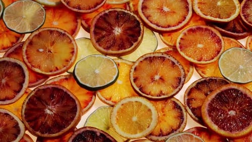 Sliced Citrus Fruit Close Up Arrangement