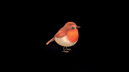 Cute Bird Orange Idle