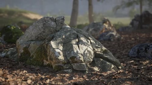 Sunlight Illuminates a Moss Covered Rock Formation in a Wooded Area