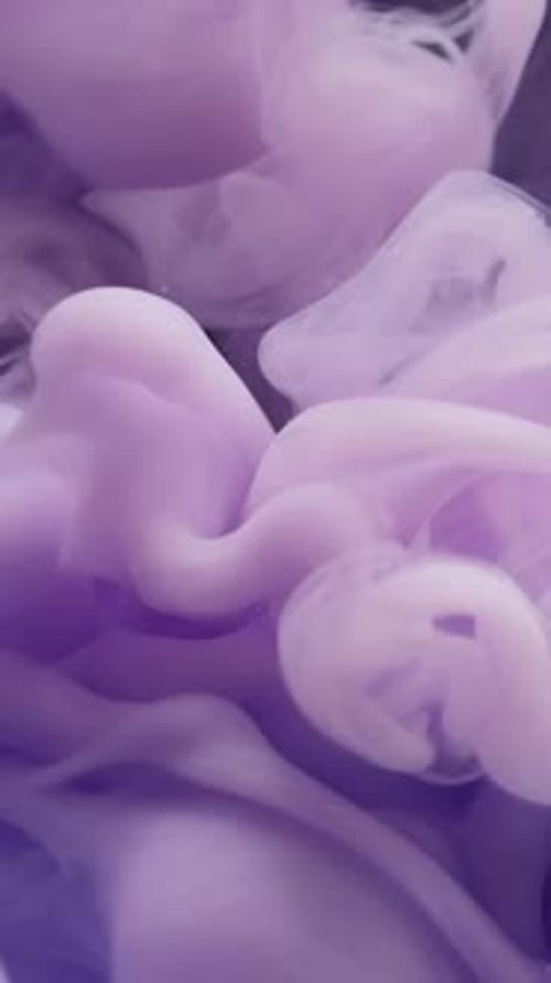 Vertical Fluid Explosion Haze Flow Violet Ink Drop