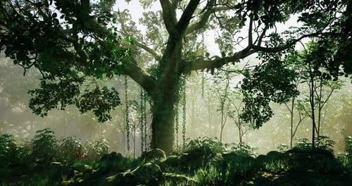 Majestic Tree in a Misty Forest with Lush Greenery and Vibrant Plants
