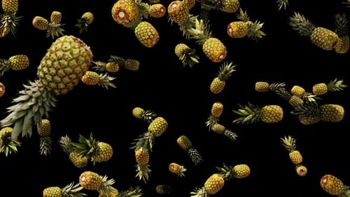 Pineapple Filling In Summer Alpha 01 HD