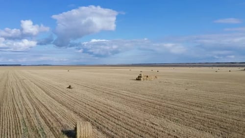 Belle vue sur un champ agricole sans fin par une journée nuageuse d'automne