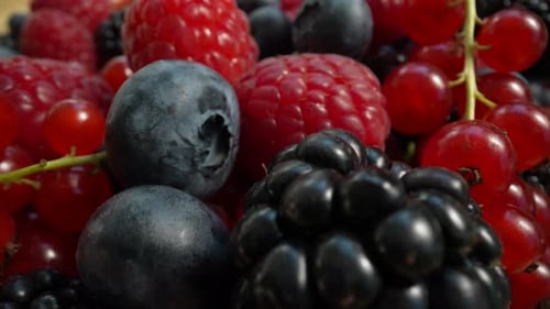 Vibrant Assortment of Fresh Berries Close-up