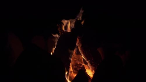 Campfire burning and glowing nice in the dark. Firewood in the fire and flames