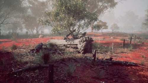Misty Outback Landscape with Red Earth and Sparse Trees