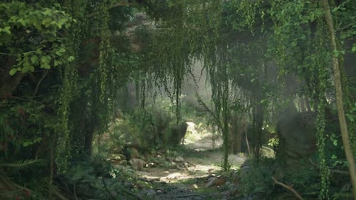 A Serene Forest Path Surrounded By Tall Trees