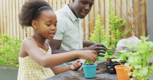 Girl Learns Gardening with Adult on Outdoor Patio
