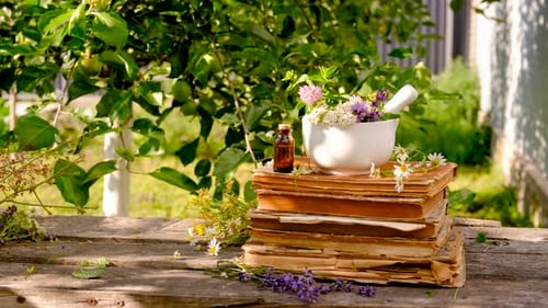 Woman with Medicinal Herbs in the Garden Selective Focus