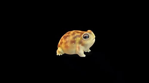 Rainfrog Idle