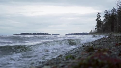Small waves rolling at the beach near the forest on a cloudy day in Tofino. Slowmotion pan shot.