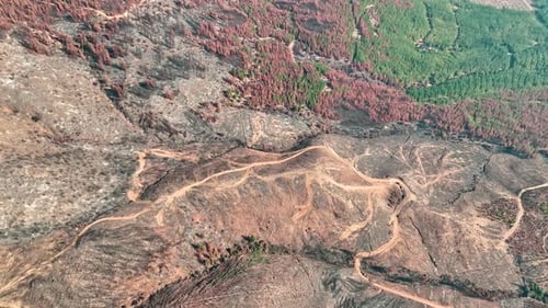 The blackened trees and smoldering remains paint a grim picture from above.