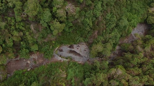 Drohne steigt über ein trockenes Flussbett im Polipoli Springs State Recreation Park auf Maui auf, einem der