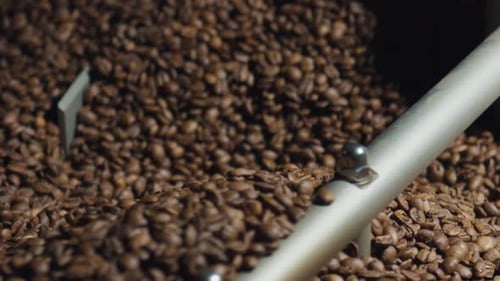 Roasted Coffee Beans Being Churned Inside Roasting Machine