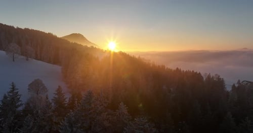 Breathtakingly Stunning Winter Sunrise Over Majestic Snowy Mountains and Pine Trees