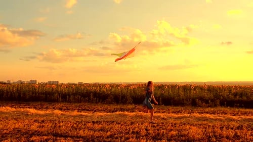 Child Runs with Kite in Golden Sunset Field