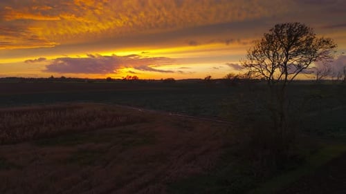 Atmospheric summer autumn sunset with waving wild grass in sunlight, rural meadow or field in