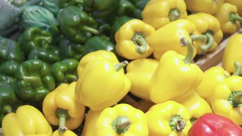 Closeup view of fresh bell peppers in a grocery store
