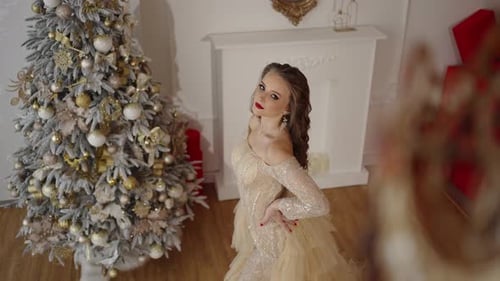 Woman in Gown Poses by Decorated Christmas Tree
