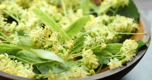 Closeup view of linden tree blossoms in bowl, spinning