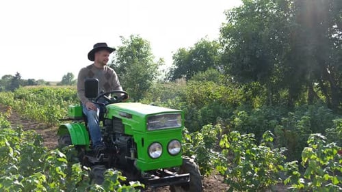 Adult Drives Green Tractor Through Rural Field