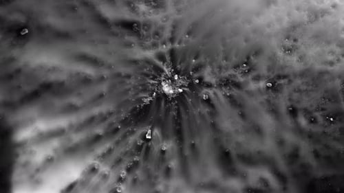 Dry ice crushing on glass, mist dispersing.