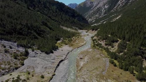 alpine river in the mountain valley with pine forest on the sides, aerial shot