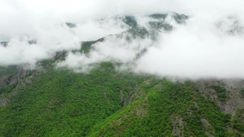 Nature Clouds Mountains Summer Forest Morning Fog Trees Aerial Beautiful Landscape Go Everywhere