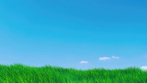 Graswindschleife auf blauem Himmel.