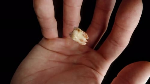 Man catches the fallen bloodied tooth, it falls into his hand in super slow motion against a black