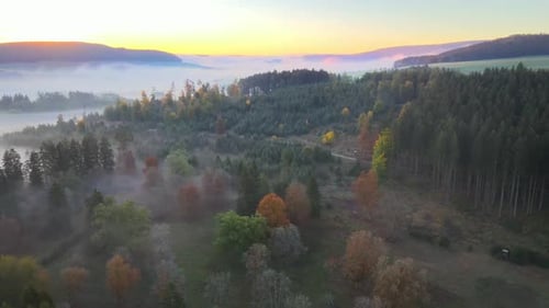 Sunrise in a misty forest