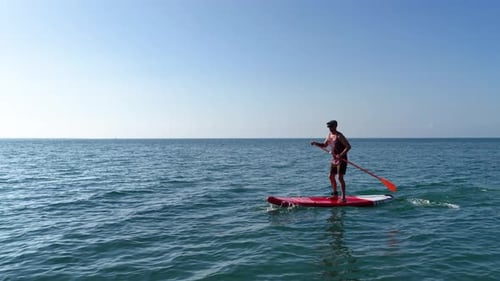 Sportsman Paddling on Sup Board in Calm Sea