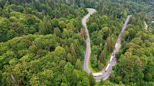 Winding road through green forest landscape in daytime with vehicles moving.