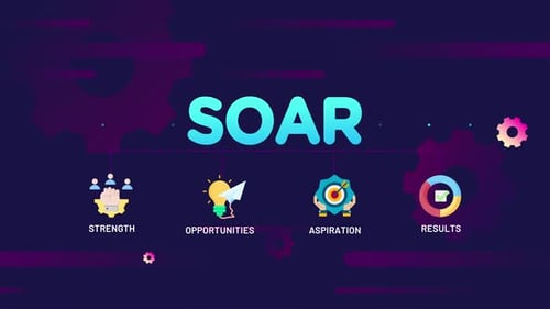 Soar infographic