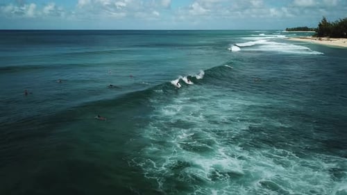 Drone shot of two surfers catching a wave on the North Shore coast of Oahu, Hawaii