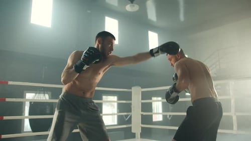 Two Boxers with Bare Torso in Boxing Gloves Fight in Ring in Gym