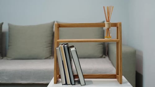 Estantería artesanal hecha a mano con libros en el interior de una casa