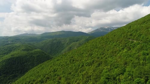 Aerial Drone Overhead of Single Car Driving Down Curvy Mountain Road Through Green Forest Valley