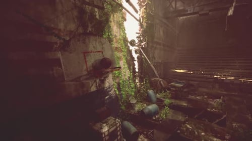 Abandoned Basketball Court Overtaken By Nature in a Dilapidated Gymnasium