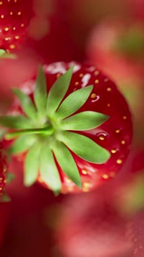 Animation of a group of strawberry. Defocus. Close-up.