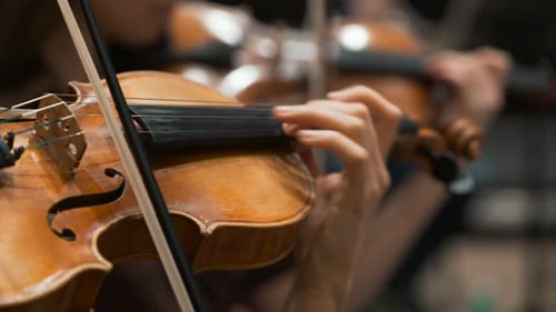 Image of Female Persons Playing the Fiddles Closeup Indoors Philharmonic Society. Double