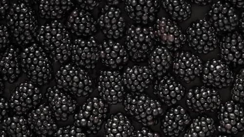 Top View of Fresh Ripe Juicy Blackberries Rotate on Board Harvest of Berry