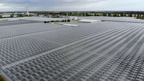 Top View of the Greenhouse