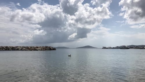 Ocean Beach with sands and sun