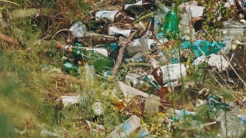 Garbage Dump of Plastic and Bottles in the Forest Human Pollution of Nature