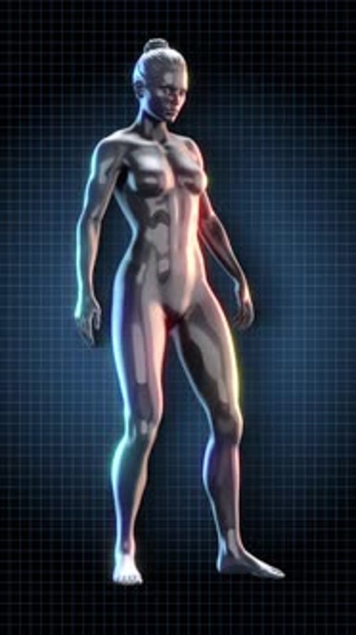 Animated Futuristic Human Body Scan