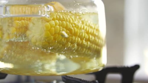 Corn Cooking in Boiling Water in Clear Pot