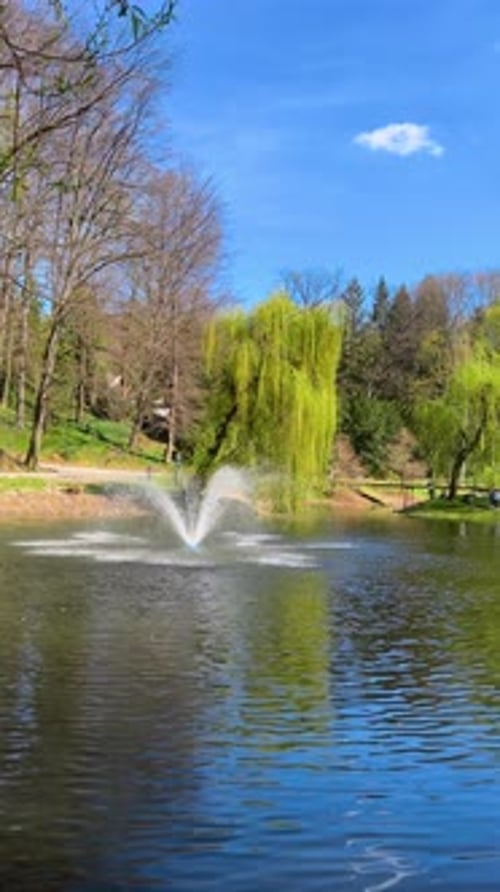 Ein Springbrunnen in der Mitte des Sees vor dem Hintergrund der Bäume im Park. Vertikales Video.