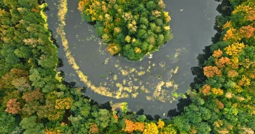 Curvy river and forest in fall. Aerial view of wildlife.