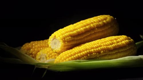Vibrant Yellow Corn on the Cob Dolly Shot